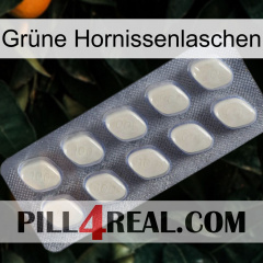 Grüne Hornissenlaschen 08